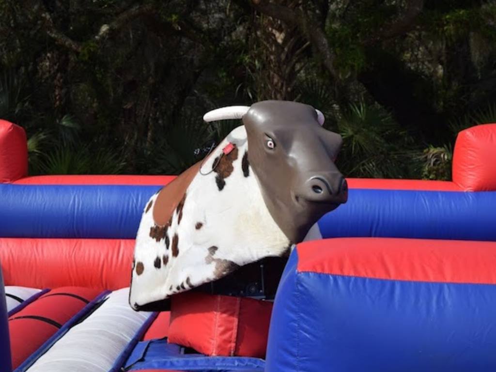 Mechanical Bull Ride Rental