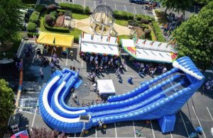 36' Big Blue Whale Water Slide | Large Inflatable Water Slide in FL