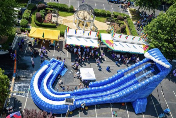 36' Big Blue Whale Water Slide | Large Inflatable Water Slide in FL