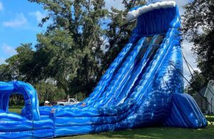 Big Blue Whale Water Slide | Water Slide Rental in Seminole County