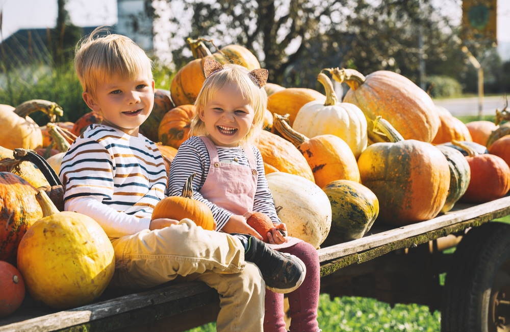 Florida Fall Festival