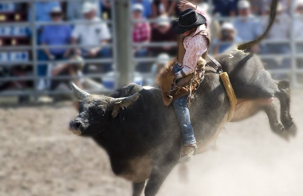 Mechanical Bull Rental Maryland