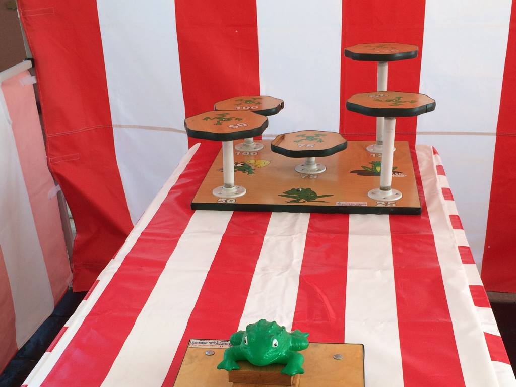 Flip A Frog Carnival Game