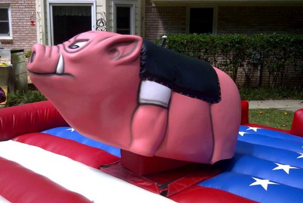 Mechanical Hog Ride | Pig Themed Inflatable Ride | Mechanical Bull in FL