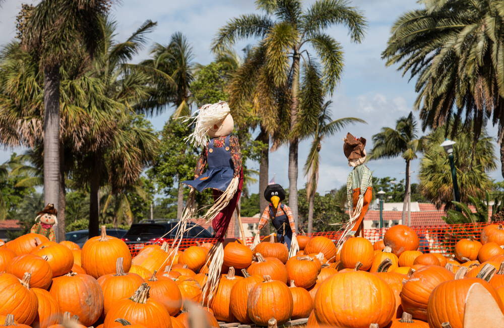 Fall Harvest Party in Florida | Autumn Event Planning Tips for FL