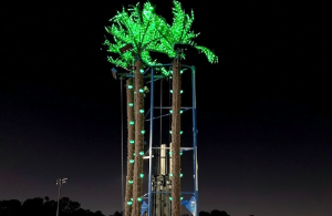 Coconut Palm Tree Climb | Tropical Themed Climbing Tower Rental