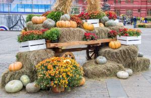 Fall Festival Ideas for Employees and Their Families | Fall Fest