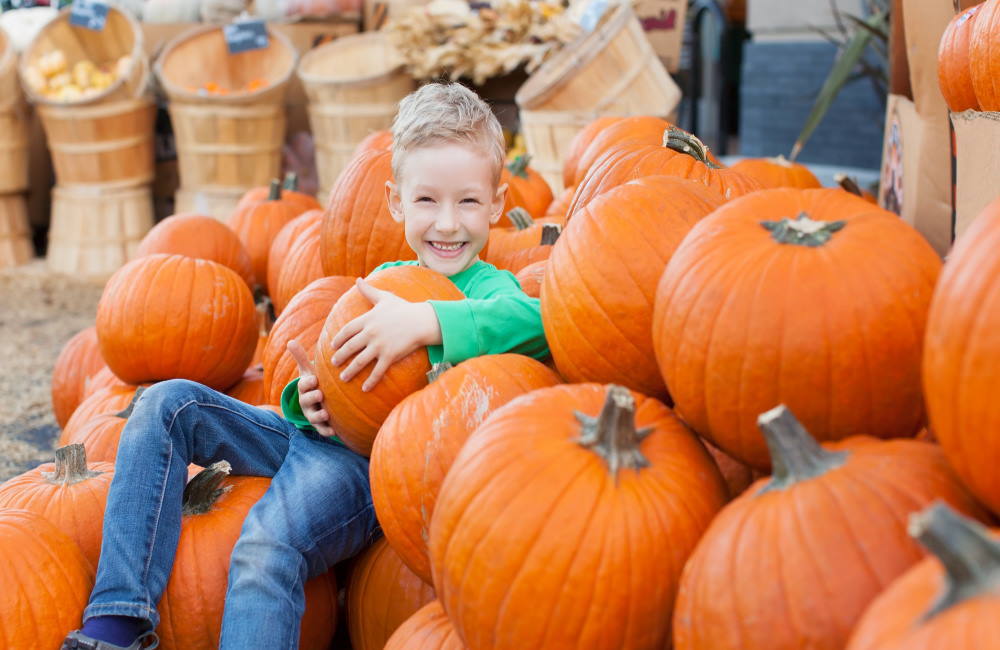 Fall Festival in Florida